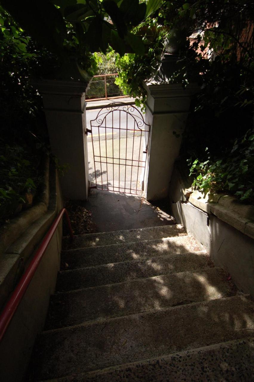Hogwartz Backpackers And Studios Dunedin Exterior photo