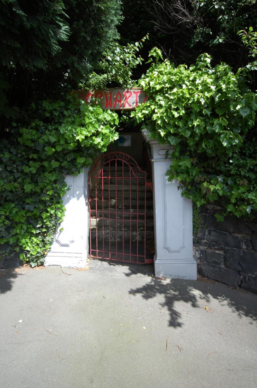 Hogwartz Backpackers And Studios Dunedin Exterior photo